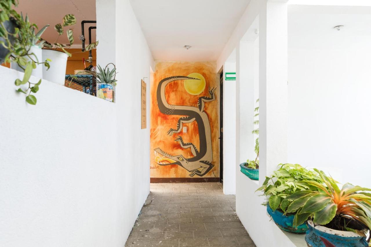 Residencia Artistica Vandrarhem Puerto Escondido  Exteriör bild